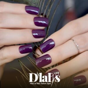 Overlays with Regular Polish